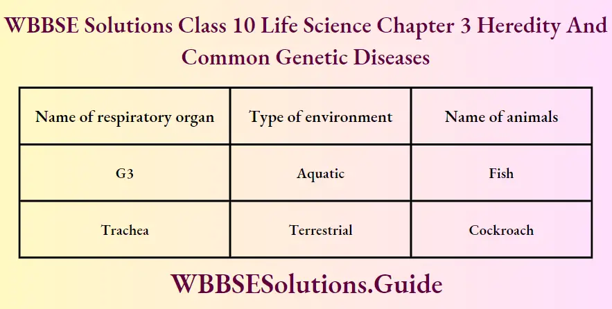 WBBSE Solutions Class 10 Life Science Chapter 3 Heredity And Common Genetic Diseases Short Answer Questions Name Of Respiratory Organ