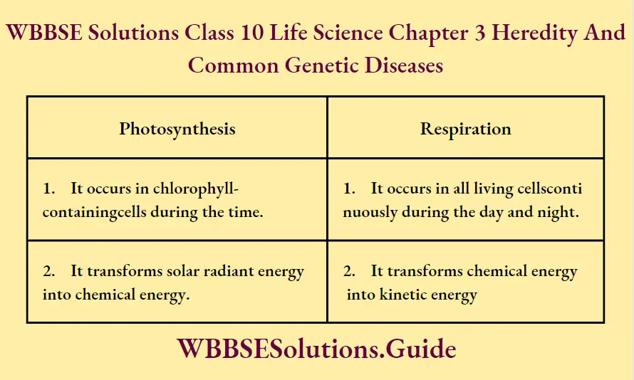 WBBSE Solutions Class 10 Life Science Chapter 3 Heredity And Common Genetic Diseases Short Answer Questions Two Differences Between Photosynthesis And Respiration