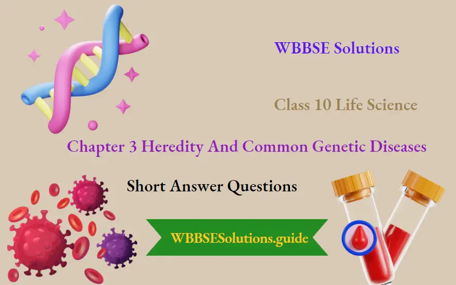 WBBSE Solutions Class 10 Life Science Chapter 3 Heredity And Common Genetic Diseases saqs