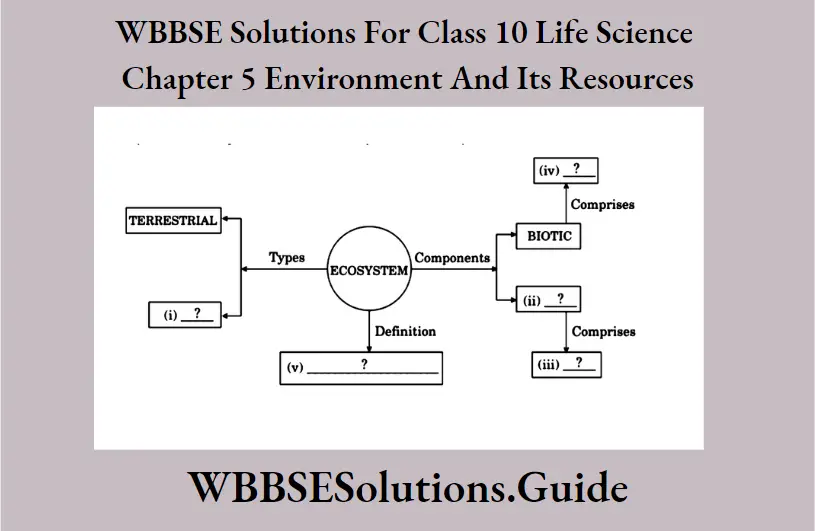 WBBSE Solutions For Class 10 Life Science Chapter 5 Environment And Its Resources Short Answer Questions Ecosystem