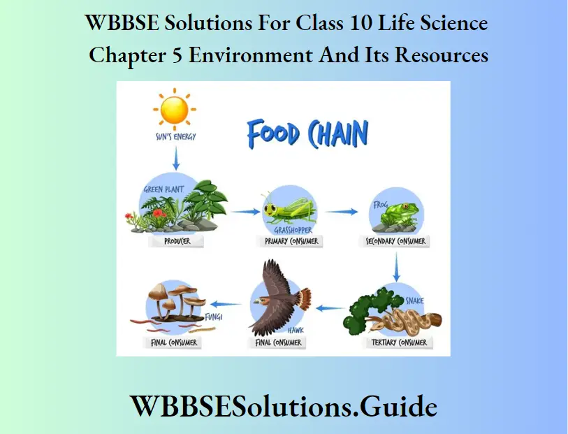 WBBSE Solutions For Class 10 Life Science Chapter 5 Environment And Its Resources Short Answer Questions Parasitic Food Chain