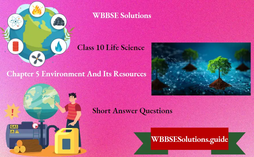 WBBSE Solutions For Class 10 Life Science Chapter 5 Environment And Its Resources saqs