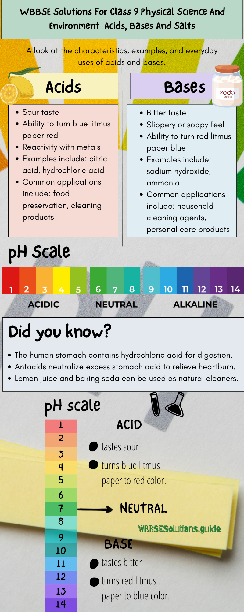 WBBSE Solutions For Class 9 Physical Science And Environment Acids, Bases And Salts