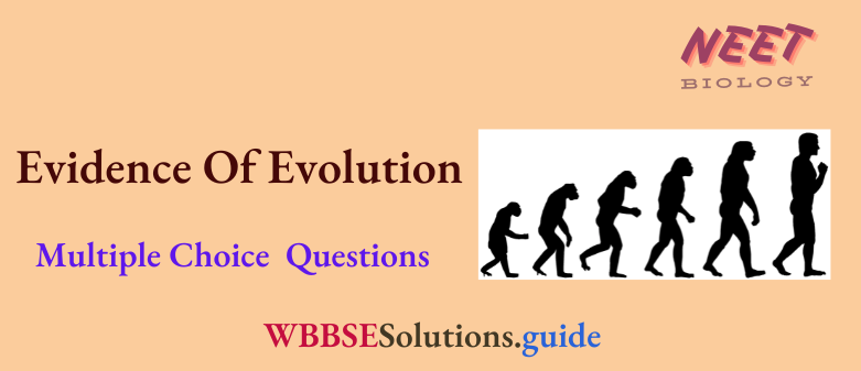 NEET Biology Evidence Of Evolution Multiple Choice Question And Answers