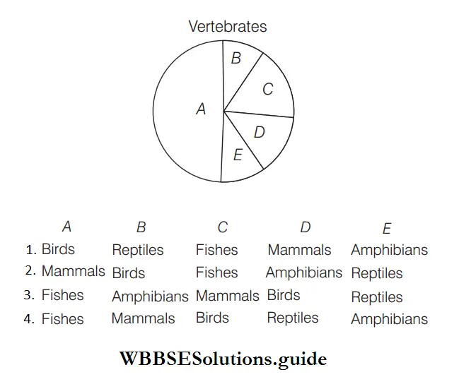 Biodiversity and its Different Levels extent of global diversity of vertebrates