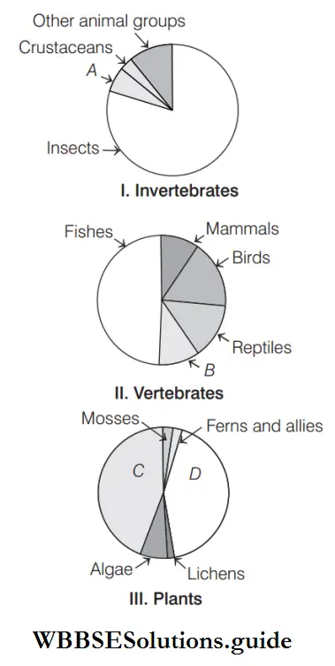 Biodiversity and its Different Levels major taxa of invertebrates