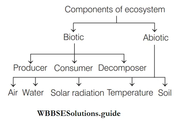 Ecosystem Components of Ecosystem.