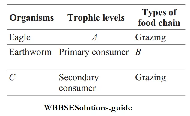 Energy Flow Organisms and Trophic levels and Types of food chain