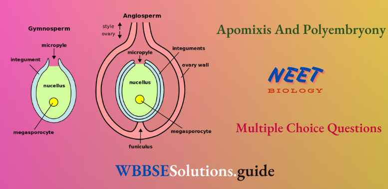 NEET Biology Apomixis And Polyembryony Multiple Choice Question And Answers