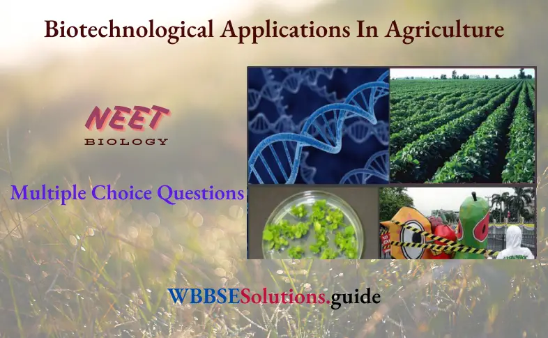 NEET Biology Biotechnological Applications In Agriculture Multiple Choice Question And Answers