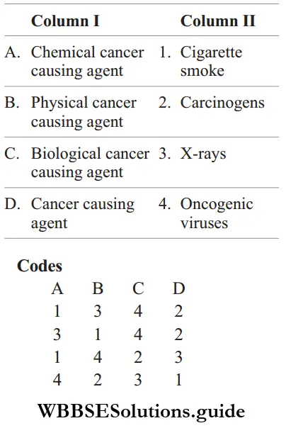 NEET Biology Cancer MCQs Question 36 Match The Column