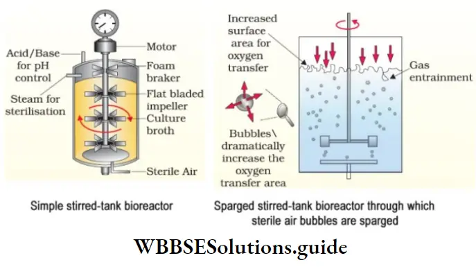 NEET Biology Class 12 Biotechnology Principles Stirred Tank Reactor
