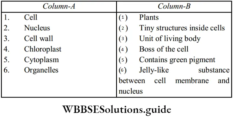 NEET Biology Class 7 Basic Biology Match the following statements