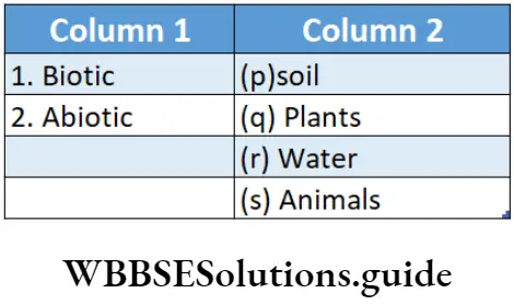 NEET Biology Class 7 Organisation In The Living Things MCQs Question 19 Match The following