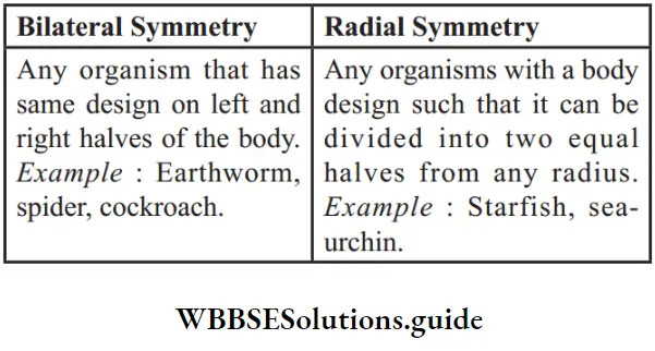 NEET Biology Class 9 Diversity in Living Organism differences between bilateral symmetry and radial symmetry