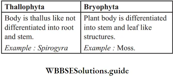 NEET Biology Class 9 Diversity in Living Organism differences between thllophyta and bryophyta