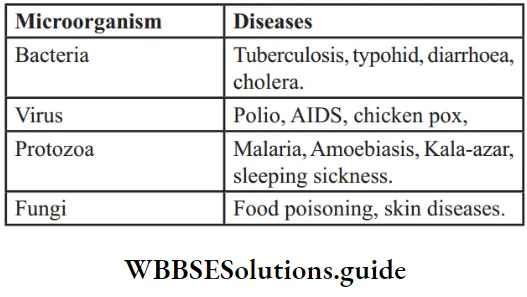 NEET Biology Class 9 Why Do We Fall Ill Difference between Microorganism and Diseases