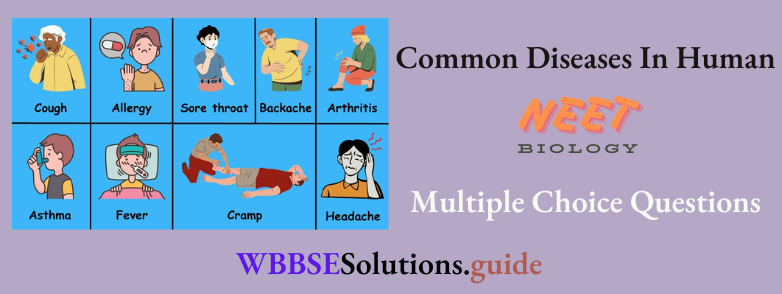 NEET Biology Common Diseases In Human Multiple Choice Question And Answers