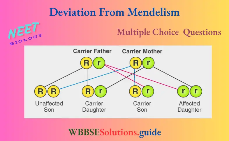 NEET Biology Deviation From Mendelism Multiple Choice Question And Answers