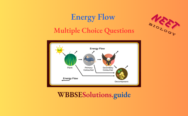 NEET Biology Energy Flow Multiple Choice Question And Answers