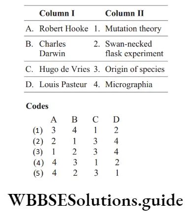 NEET Biology Evolution Miscellaneous Question 13 Match the following columns
