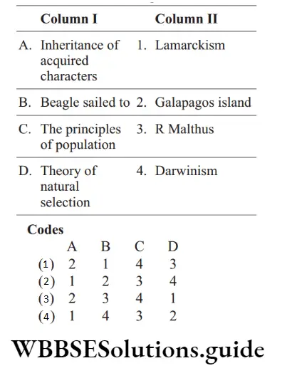 NEET Biology Evolution Miscellaneous Question 15 Match the following columns