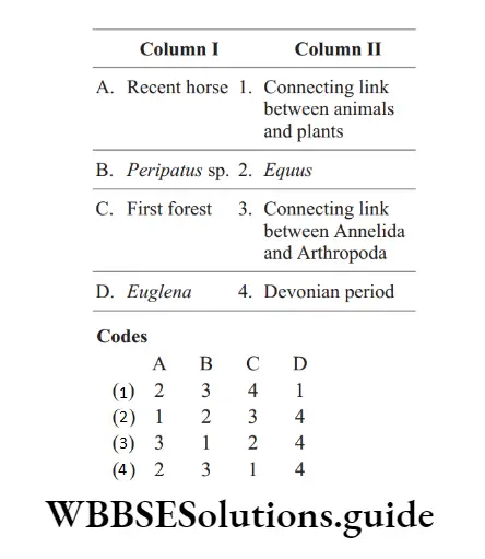 NEET Biology Evolution Miscellaneous Question 3 Match the following columns