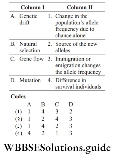 NEET Biology Evolution Miscellaneous Question 5 Match the following columns