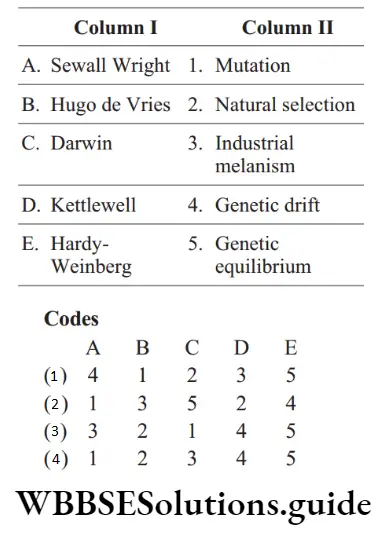 NEET Biology Evolution Miscellaneous Question 6 Match the following columns