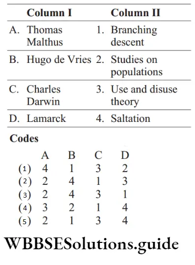 NEET Biology Evolution Miscellaneous Question 8 Match the following columns