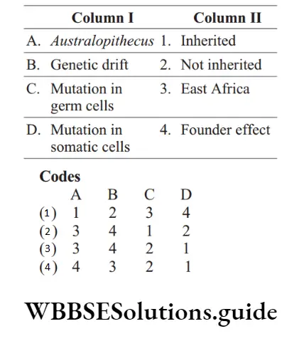 NEET Biology Evolution Miscellaneous Question 9 Match the following columns
