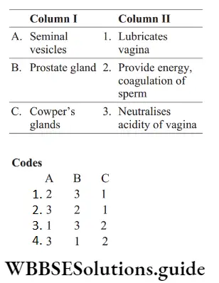 NEET Biology Fertilisation And Implantation Question 7 Identify The Correct Match.