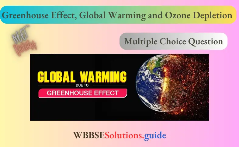 NEET Biology Greenhouse Effect, Global Warming and Ozone Depletion Multiple Choice Question And Answers