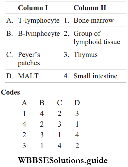 NEET Biology Immune System MCQs Question 36 Match The Columns