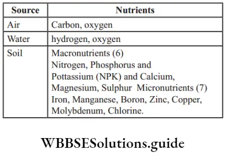 NEET Biology Improvement in Food Resources Source and Nutrients