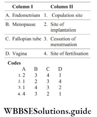 NEET Biology Menstrual Cycle Question 98