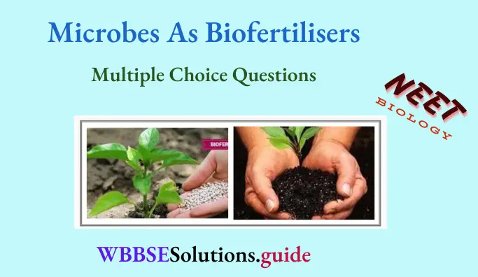 NEET Biology Microbes As Biofertilisers Multiple Choice Question And Answers