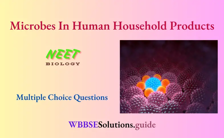 NEET Biology Microbes In Human Household Products Multiple Choice Question And Answers
