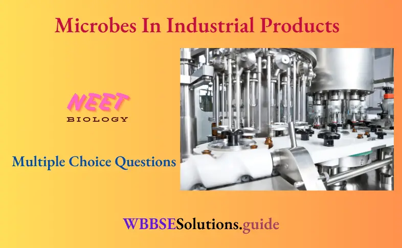 NEET Biology Microbes In Industrial Products Multiple Choice Question And Answers