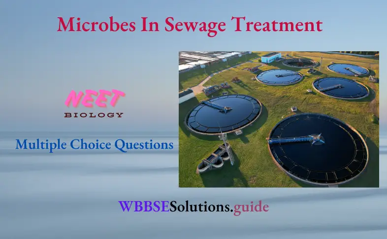 NEET Biology Microbes In Sewage Treatment Multiple Choice Question And Answers
