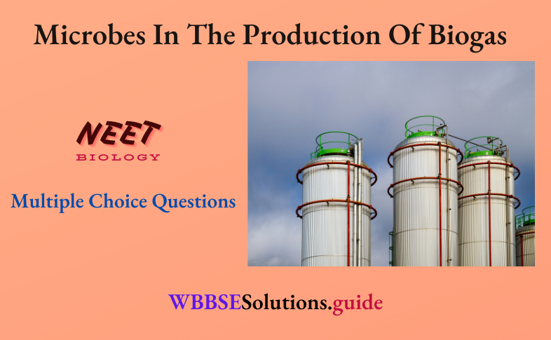 NEET Biology Microbes In The Production Of Biogas Multiple Choice Question And Answers