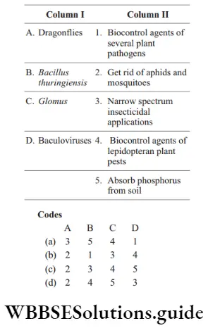 NEET Biology Microbes as Biofertilisers MCQs Question 73 Match the following colmns and choose the correct option from the codes given below
