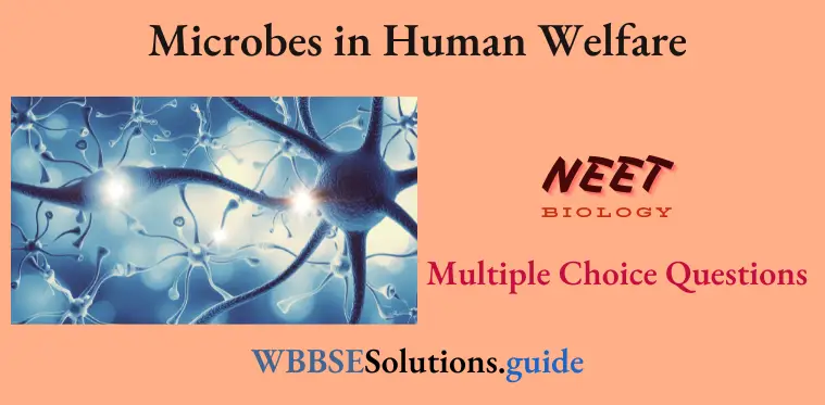 NEET Biology Microbes in Human Welfare Miscellaneous Multiple Choice Question And Answers