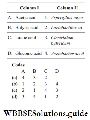 NEET Biology Microbes in Industrial Products MCQs Question 36 Match the Column 1 and Column 2 and choose the correct option from the codes given below