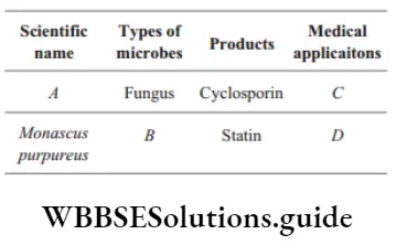 NEET Biology Microbes in Industrial Products MCQs Question 40 Identify the blank spaces A, B, C and D given in the following table and select the correct answer.