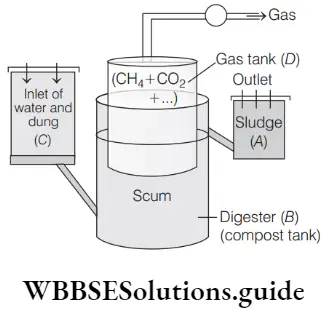 NEET Biology Microbes in Production of Biogas MCQs Gas tank