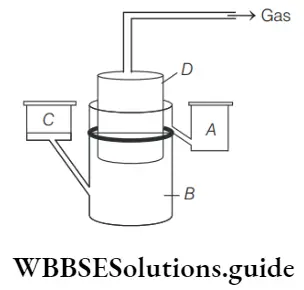 NEET Biology Microbes in Production of Biogas MCQs Typical biogas plant