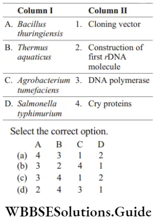 NEET Biology Miscellaneous MCQs Match the organism with its use in biotechnology.