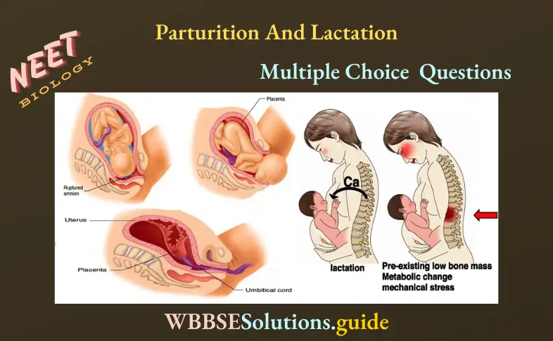 NEET Biology Parturition And Lactation Multiple Choice Question And Answers