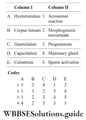 NEET Biology Parturition and Lactation Question 31 Match The Following Column